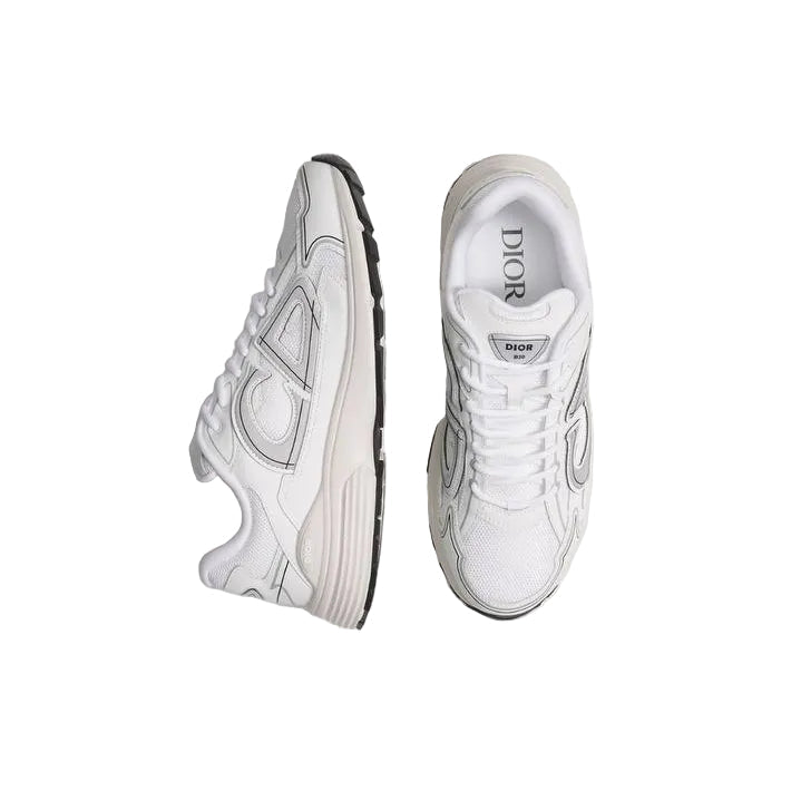 Dior B30 White Grey
